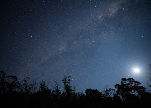 Moonlit night sky with milky way - Tasmania, Australia
