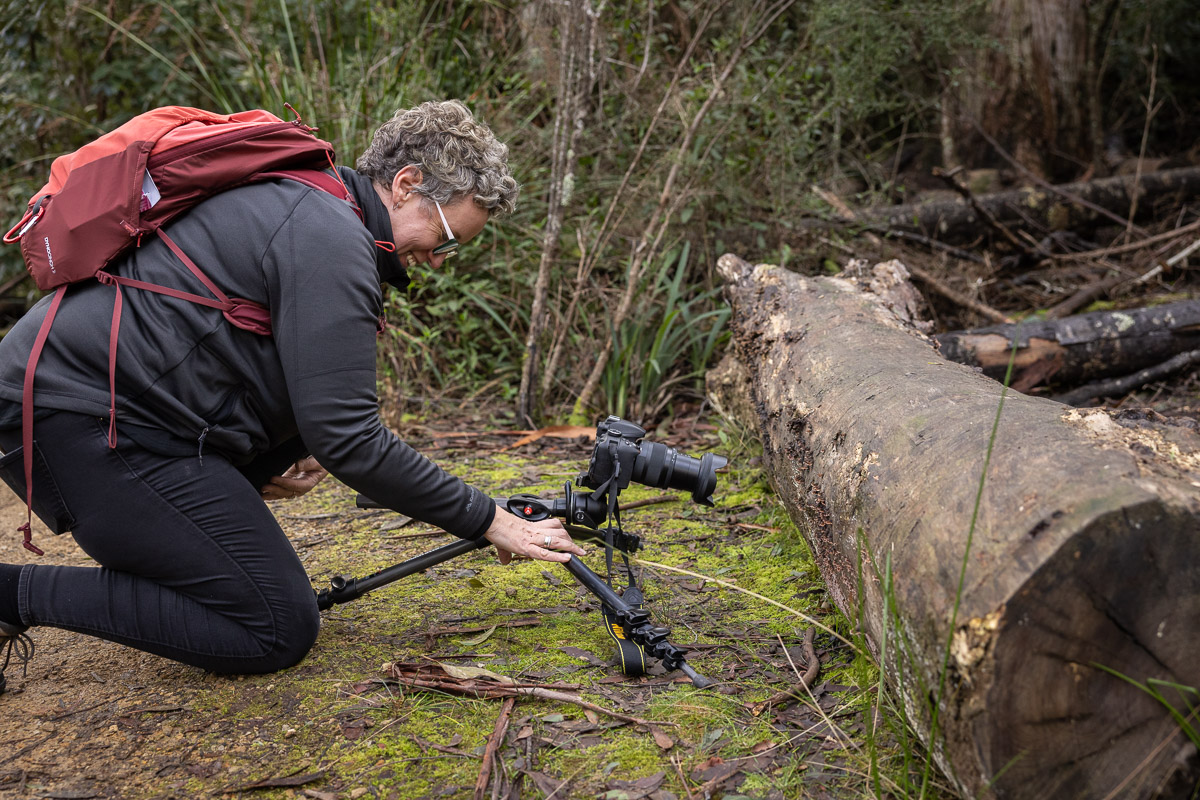 Private photography tuition at Waterworks Reserve - Hobart, Tasmania