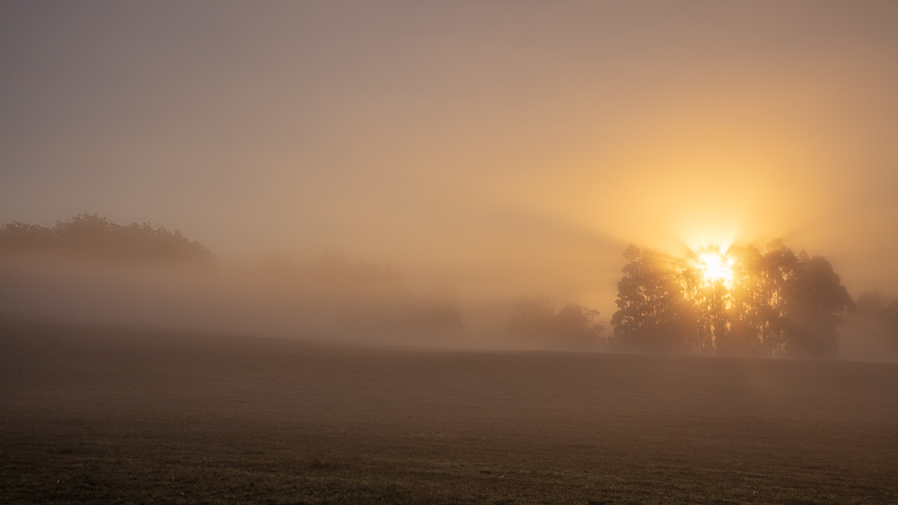 Foggy morning sunrise