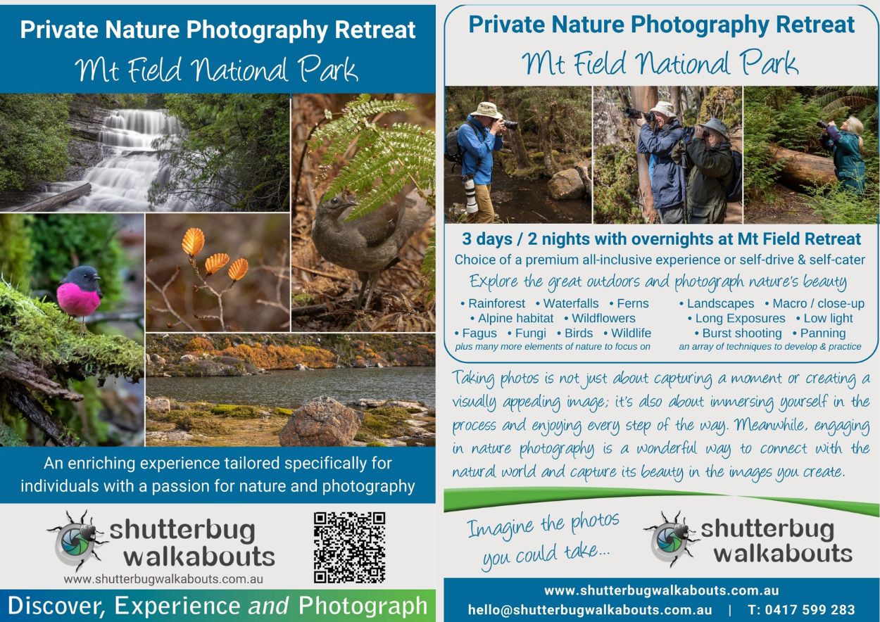 Image file sample of an A5 downloadable brochure for Shutterbug Walkabouts Private Nature Retreat at Mt Field National Park. The brochure has photos and information about the retreat along with contact details, links and a QR code.