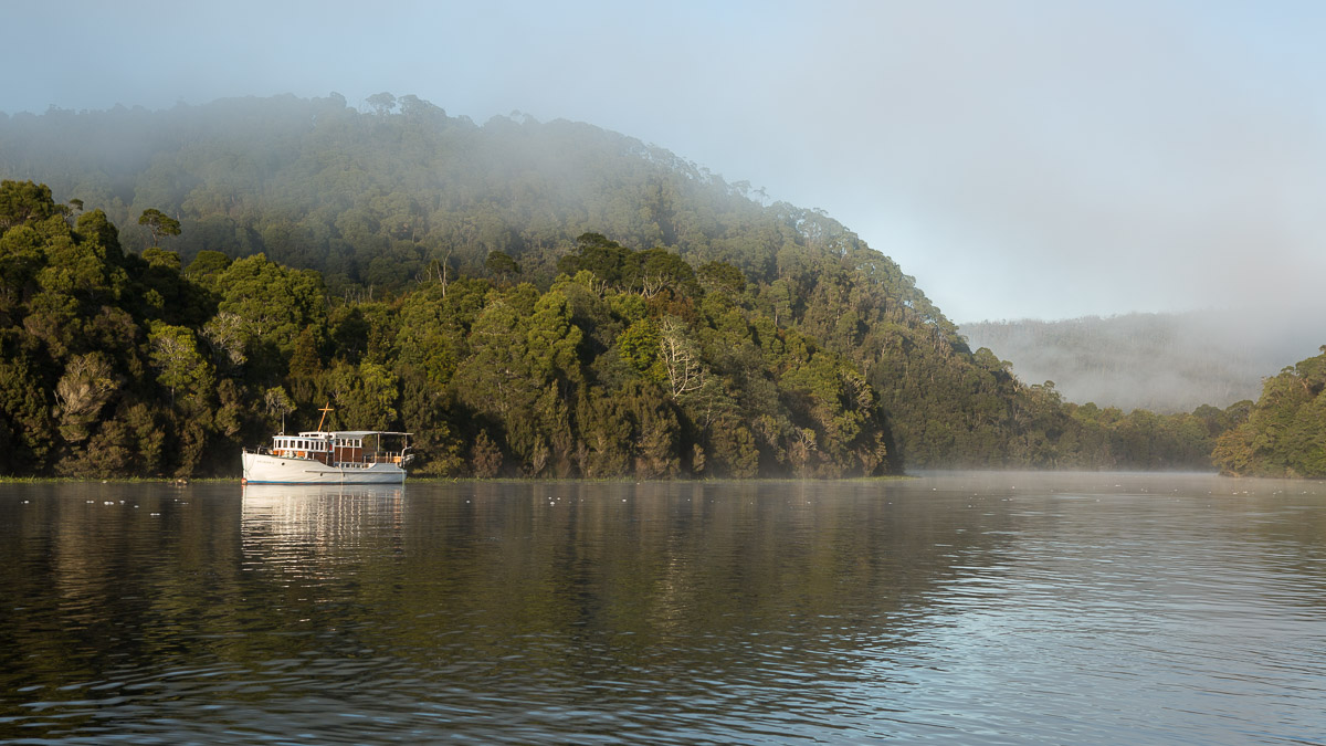 Arcadia II - Pieman River - Corinna - takayna/Tarkine - Northwest Tasmania