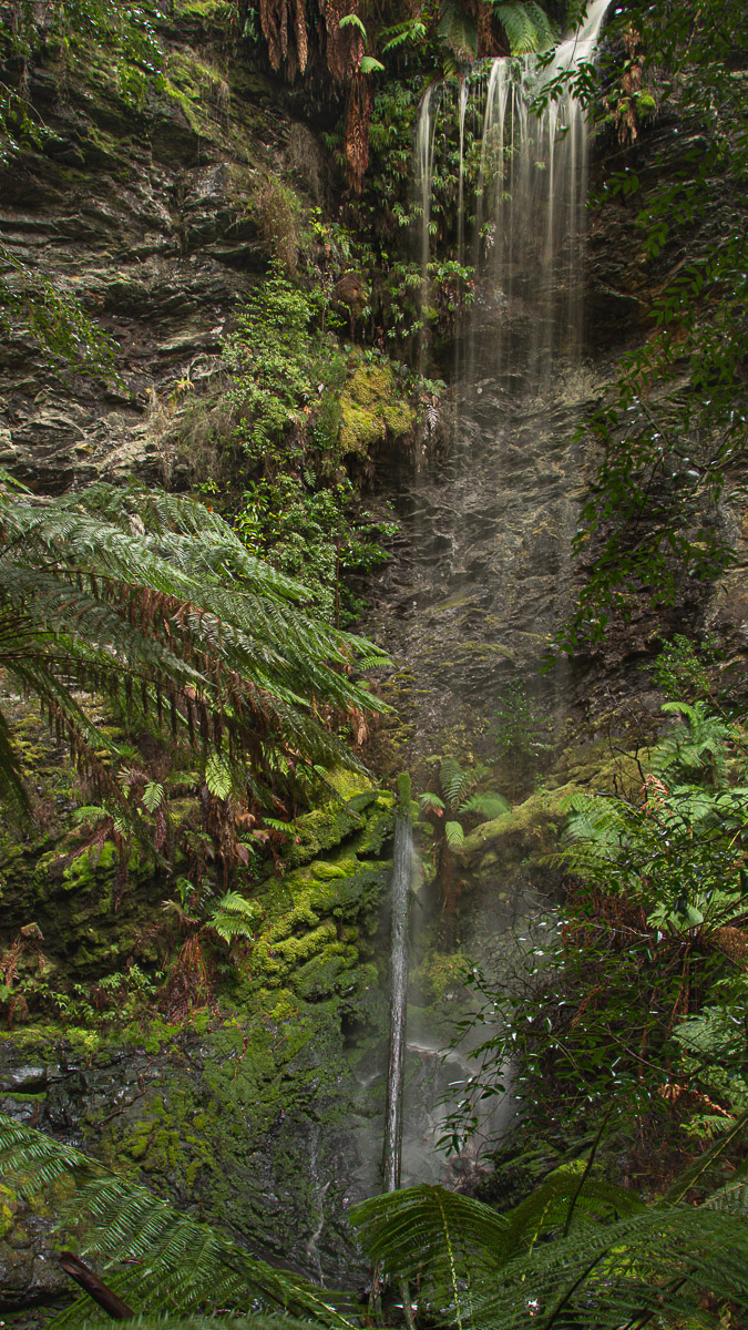 Lovers Falls - Pieman River - takayna/Tarkine - Northwest Tasmania