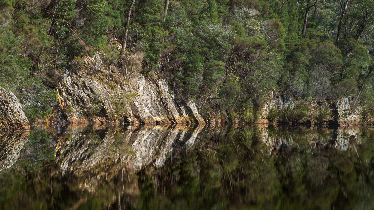 Pieman River reflections - takayna/Tarkine - Northwest Tasmania