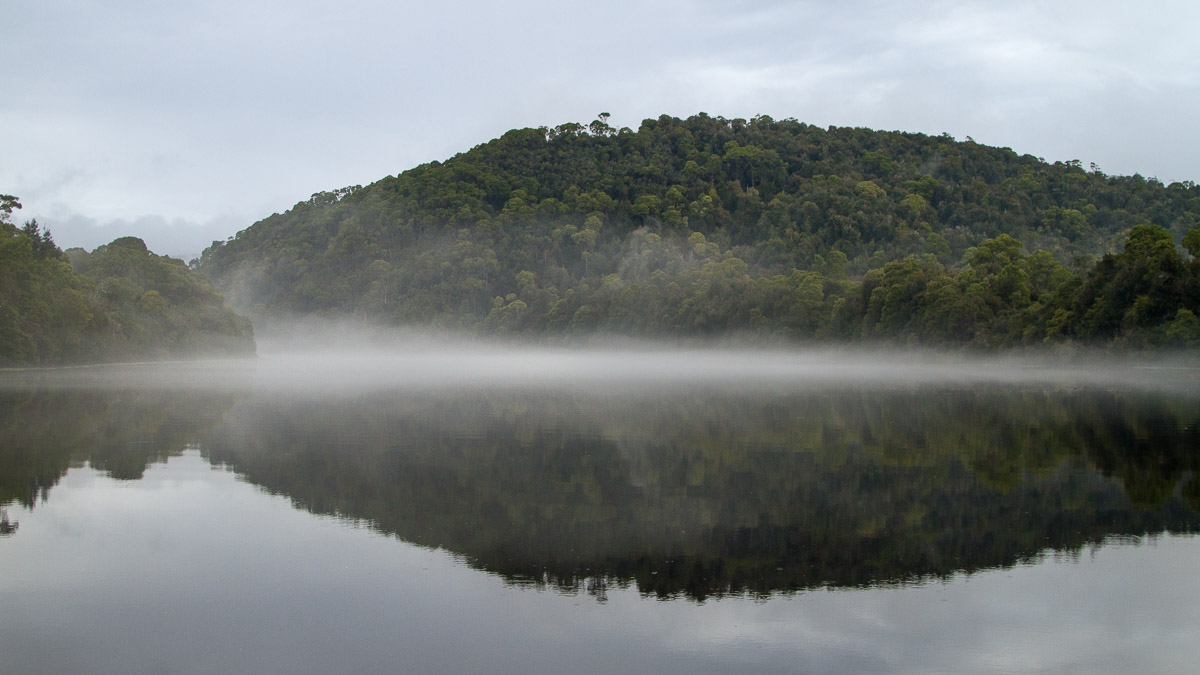 Pieman River - takayna/Tarkine - Northwest Tasmania