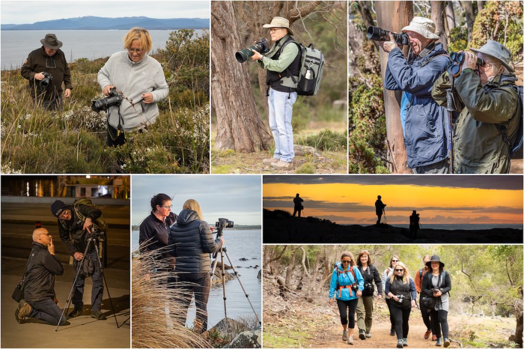 a collage of tours guests of shutterbug walkabouts in tasmania. all pictured taking photos or on walkabout during their photography experience.